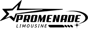 Tampa Limo Logo